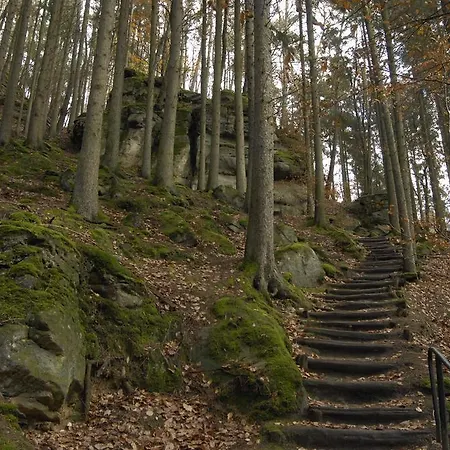 فندق Belle Vue 3*